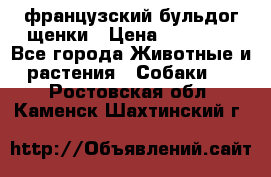 французский бульдог щенки › Цена ­ 50 000 - Все города Животные и растения » Собаки   . Ростовская обл.,Каменск-Шахтинский г.